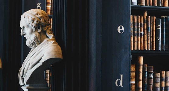 bustos-de-estatuas-en-bibliotecas
